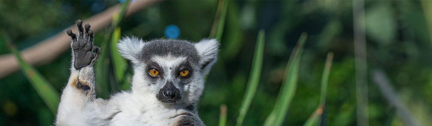 Hakkımızda Üst Görsel